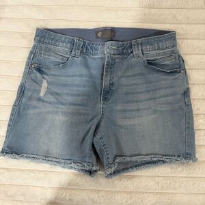 Jean Shorts Democracy Ab Technology Women's Denim  Sz 14 Nordstrom